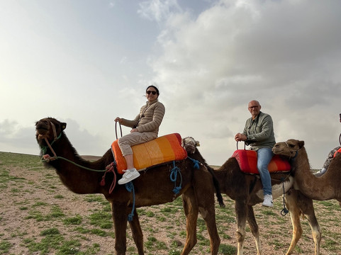 Momo Excursions-马拉喀什必去景点