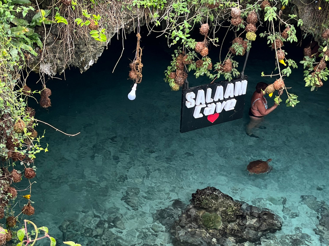 Salaam Cave Aquarium-Kizimkazi Dimbani必去景点