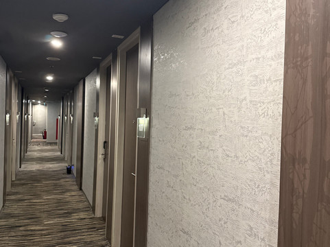 雅加达斯坦利瓦希德哈西姆酒店主图