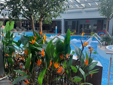 V温泉会议酒店主图