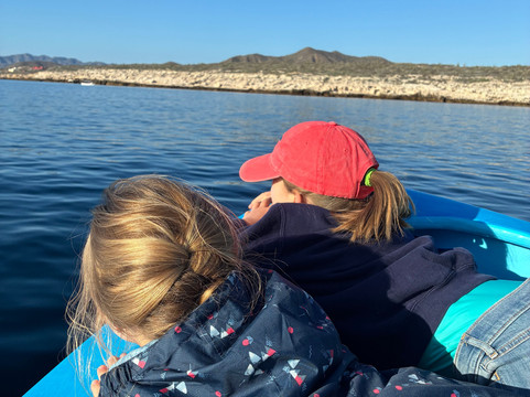 Baja Wild Encounters-La Ventana必去景点