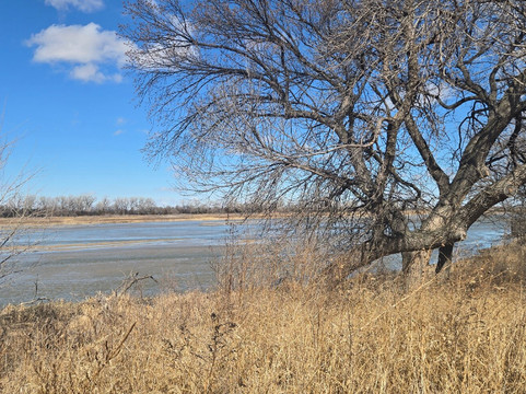 Audubon's Rowe Sanctuary-Gibbon必去景点