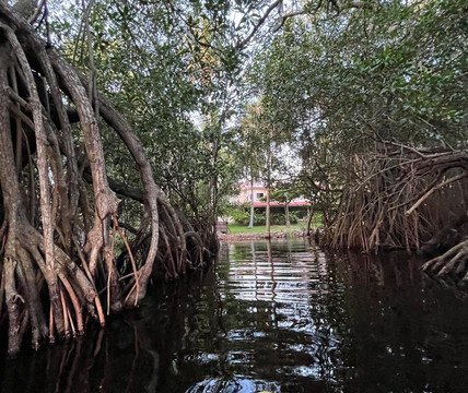 Vidasurf Ecotours-埃斯孔迪多港必去景点