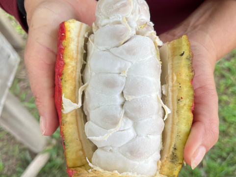 Finca la Alejandra-Montenegro必去景点