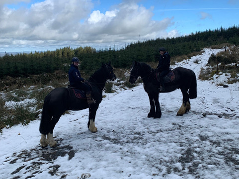 Birr Equestrian Centre-Birr必去景点