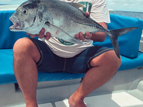 Panamwe Tours & safaris-Pwani Mchangani必去景点