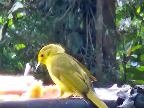 Best of Lanka-科伦坡必去景点