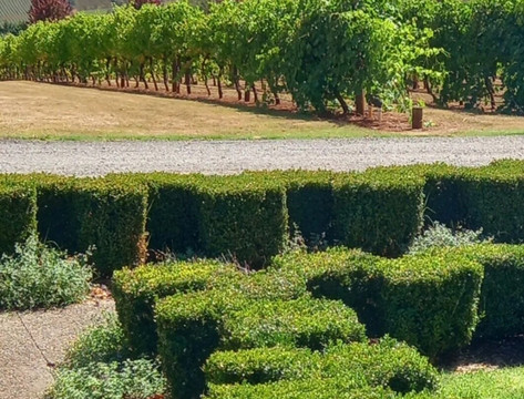 Sir Paz Estate-Wandin East必去景点