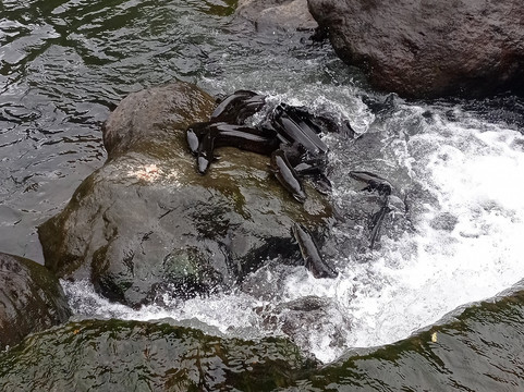 Marama Tours-法阿必去景点