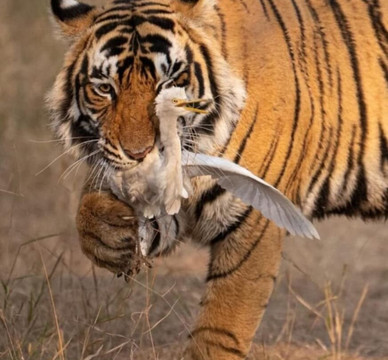 My Rajasthan Trip-斋蒲尔必去景点