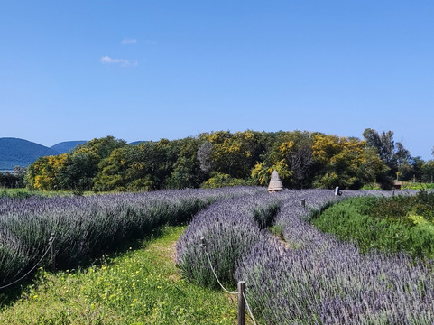 Bee Garden Alghero-阿尔盖罗必去景点