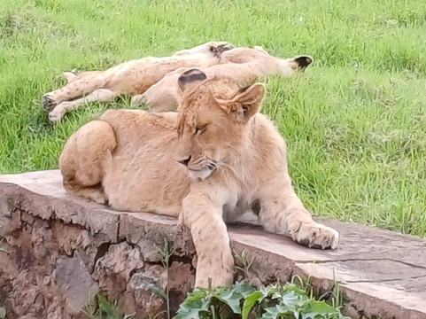 Tam Tours-桑给巴尔市必去景点