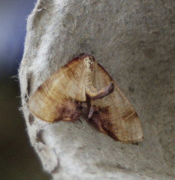 Westerlands-Graffham必去景点