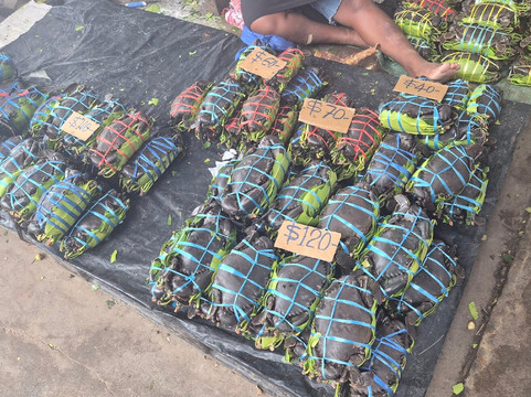 Honiara Central Market-霍尼亚拉必去景点