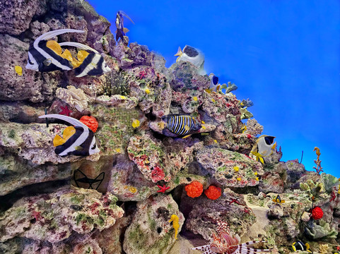 自然历史博物馆-赫尔辛基必去景点