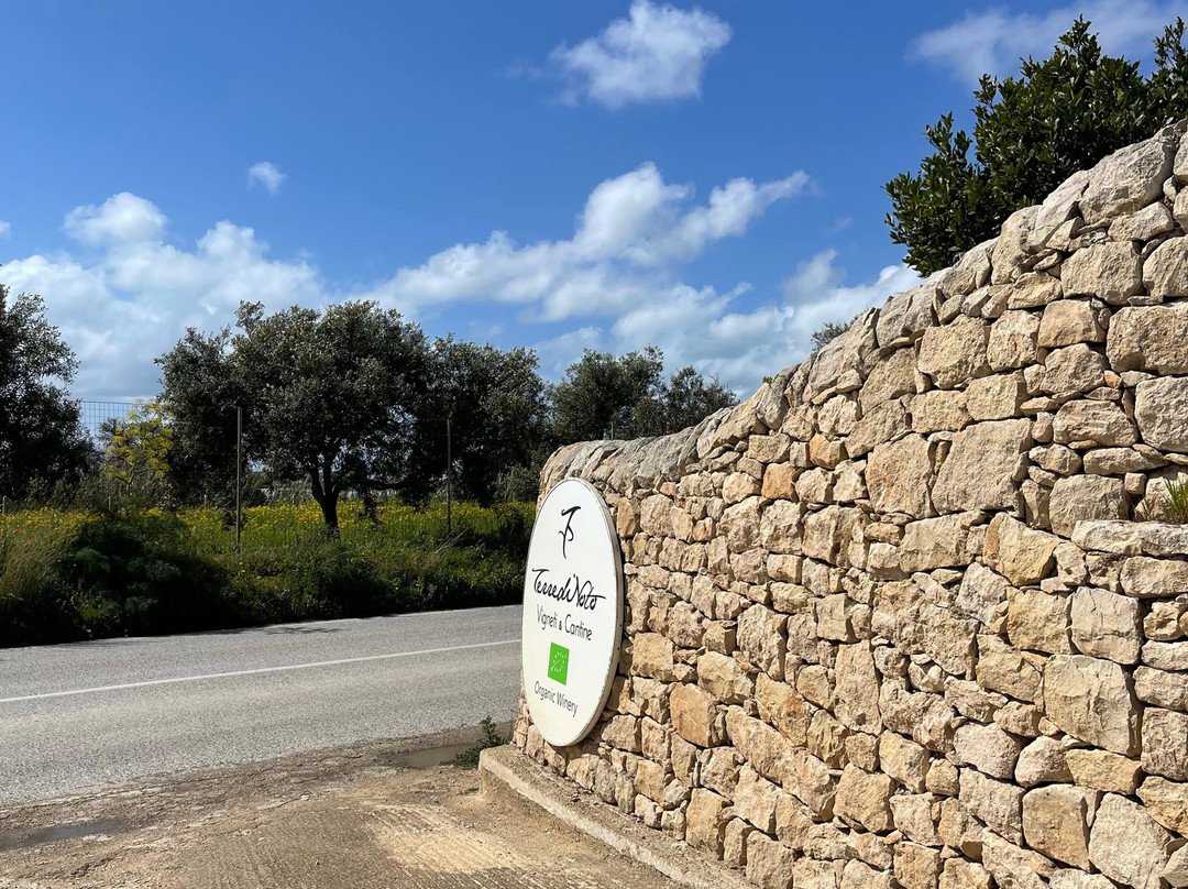 Terre di Noto - Vigneti e Cantine-诺托必去景点