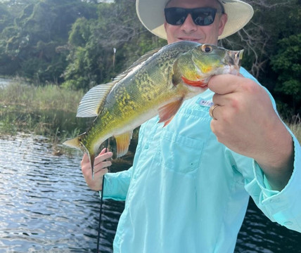 Panama Canal Fishing-巴拿马城必去景点