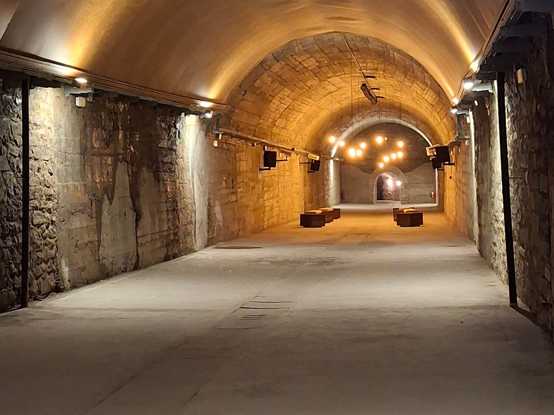 Galleria Ex Ricovero Antiaereo Quintino Sella - Sant'Agostino - Manzoni-拉斯佩齐亚必去景点