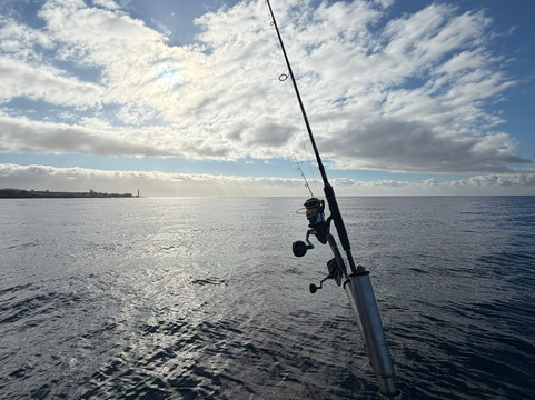 Fish On-San Bartolome de Tirajana必去景点