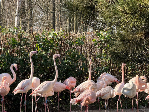 Pensthorpe-Fakenham必去景点