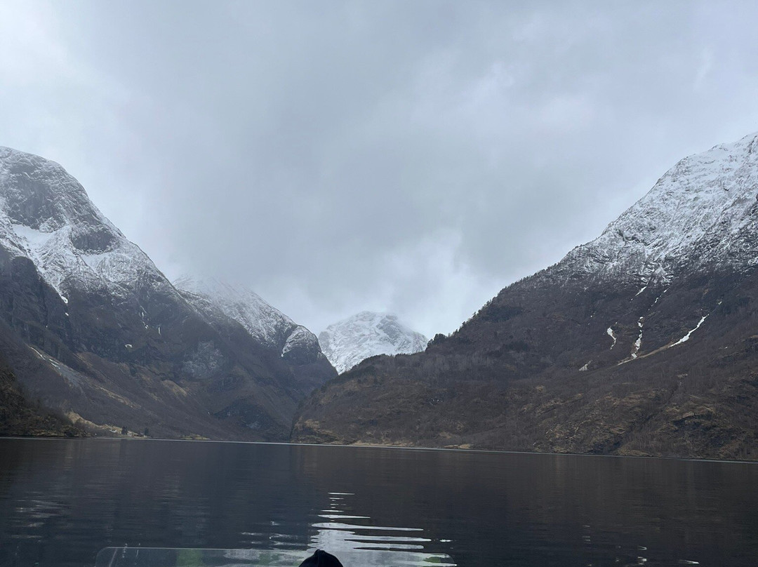 FjordSafari-弗洛姆必去景点