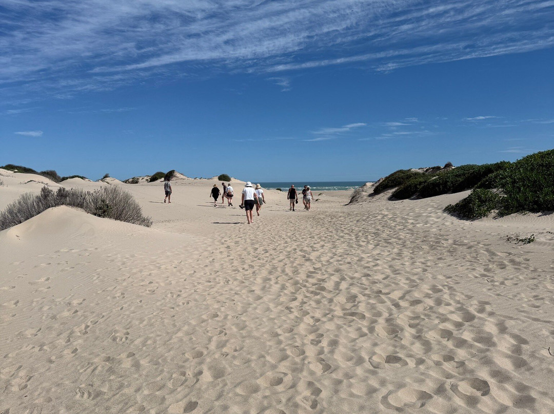 Spirit of the Coorong Cruises-Goolwa必去景点