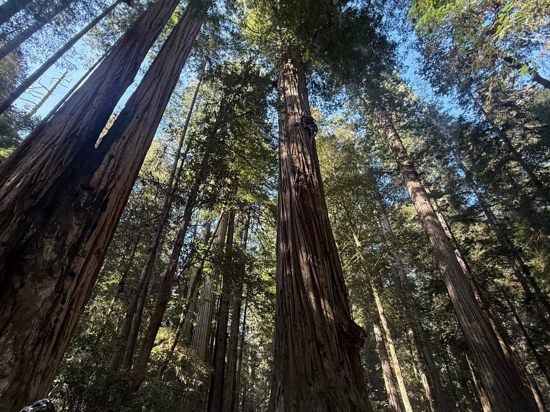 Redwood Rides-Hiouchi必去景点