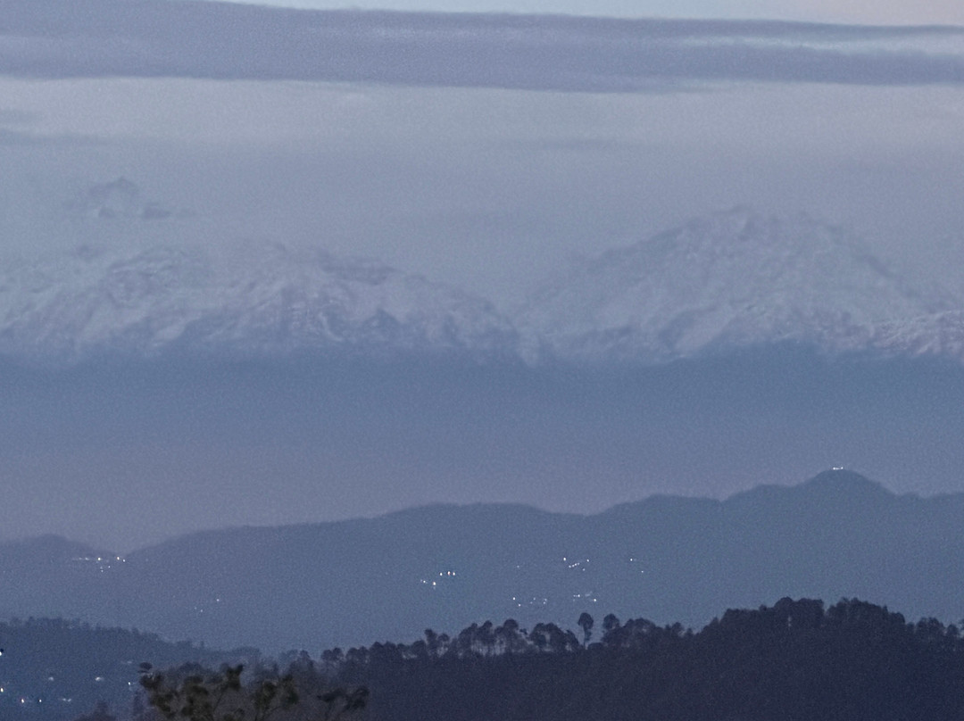 Nest and Hives主图