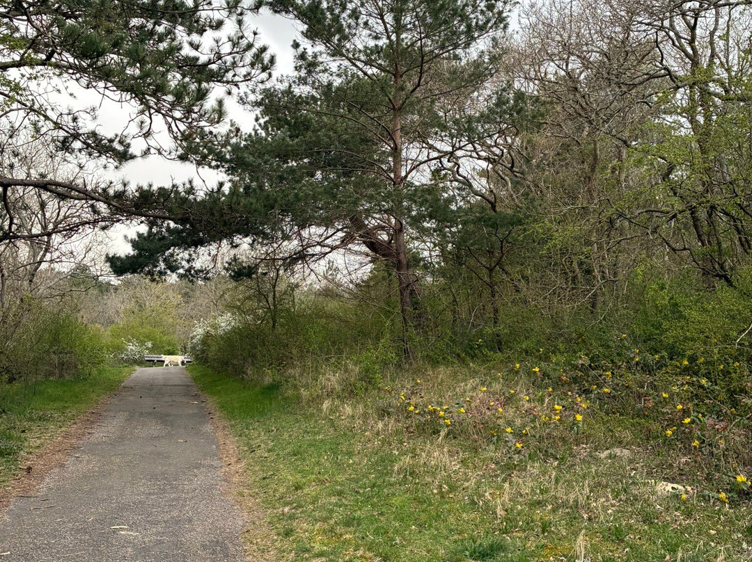 Meester Enschedepark-Bloemendaal必去景点