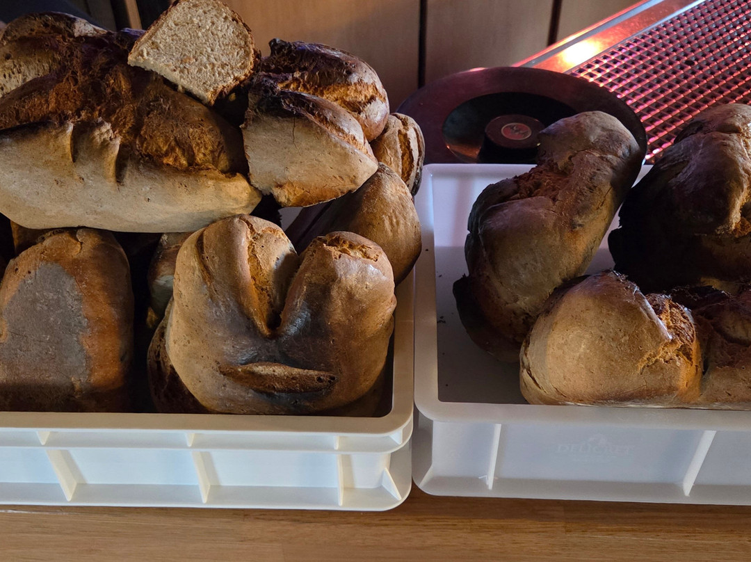 Panorama Hotel Albus主图