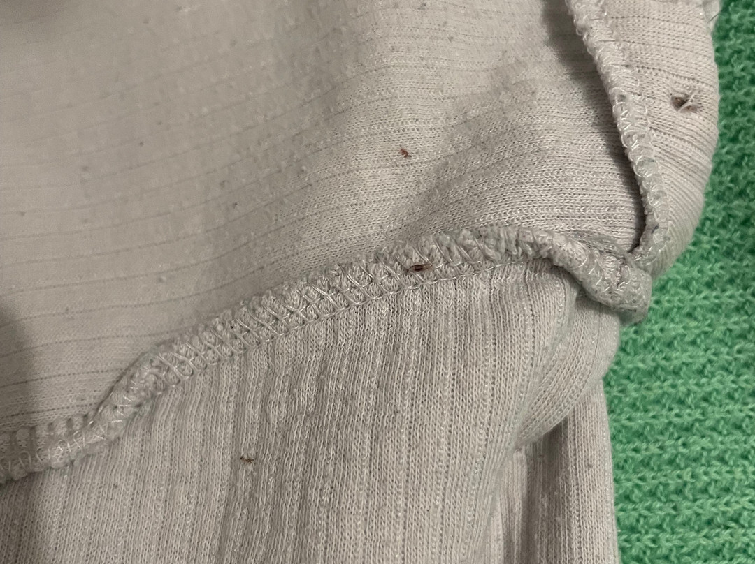 阿姆斯特丹机场贝斯特韦斯特优质酒店主图