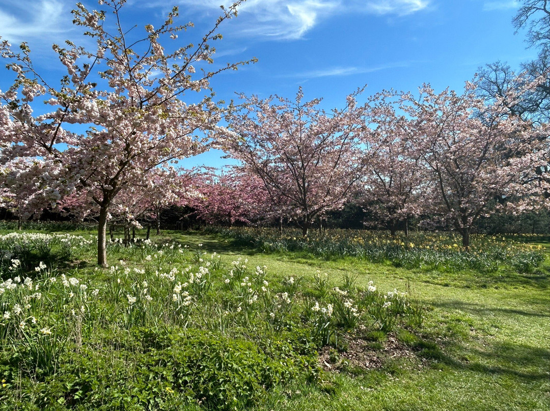 Batsford Arboretum-莫顿因马什必去景点
