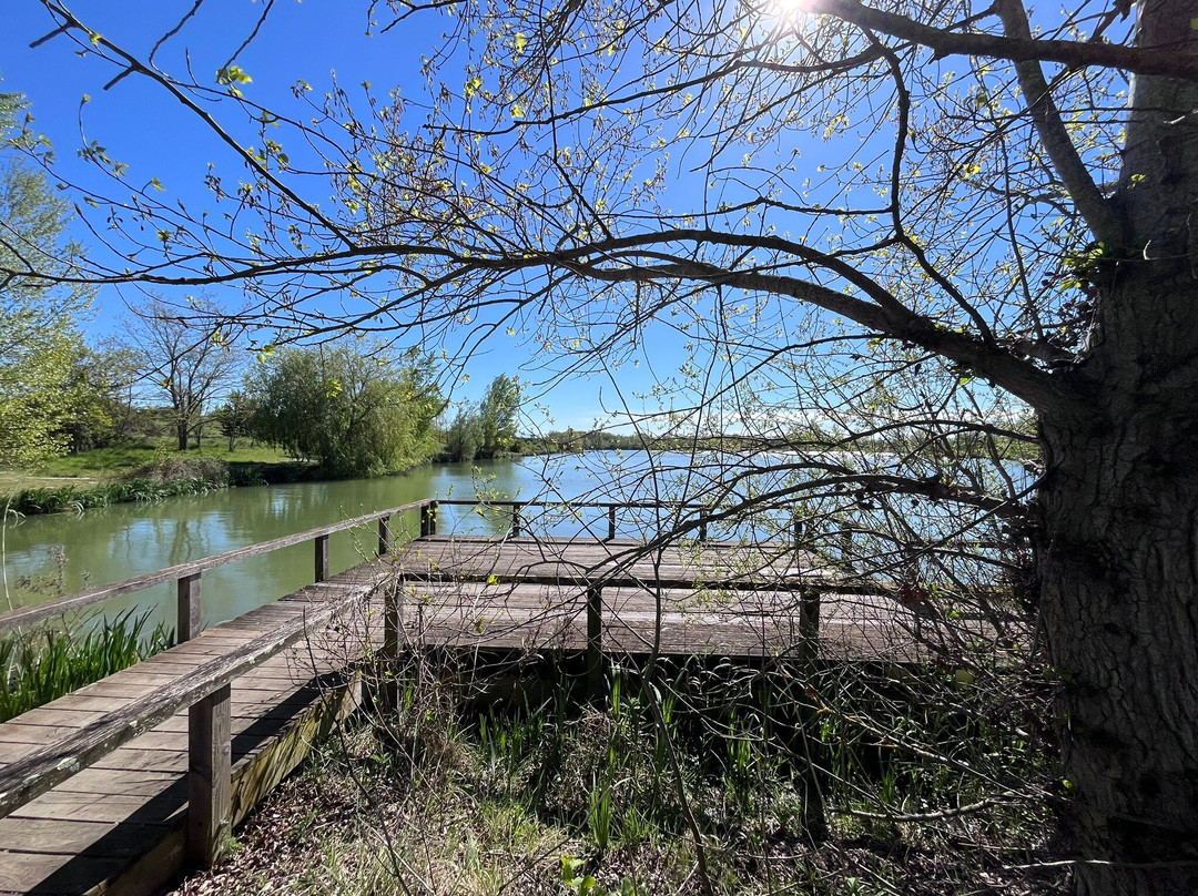 Domaine des Oiseaux-Mazeres必去景点