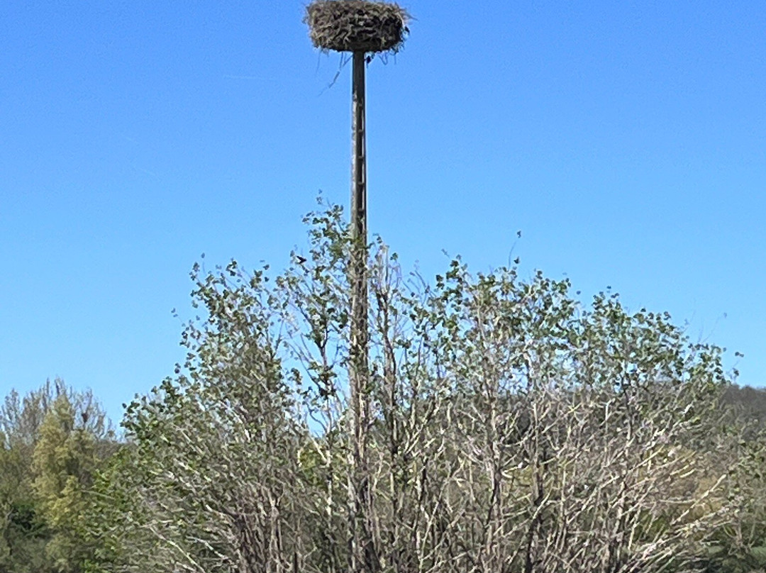 Domaine des Oiseaux-Mazeres必去景点