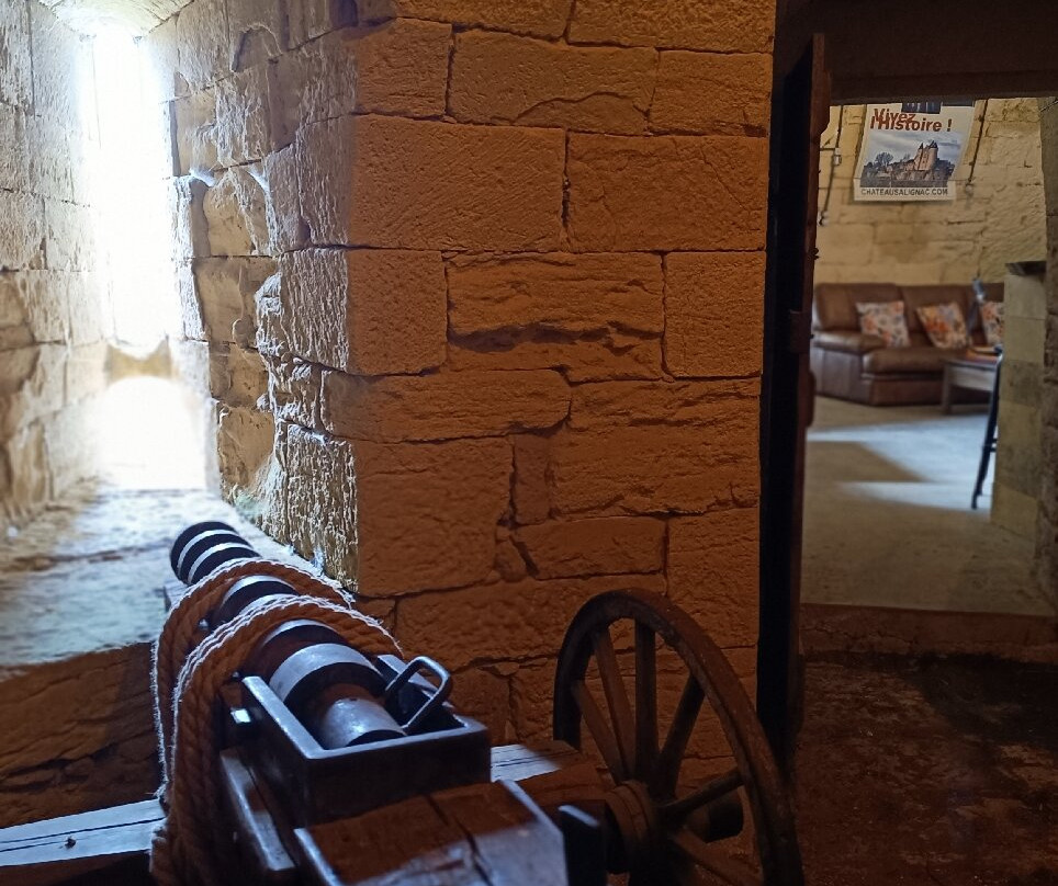 Château de Salignac-Salignac-Eyvigues必去景点