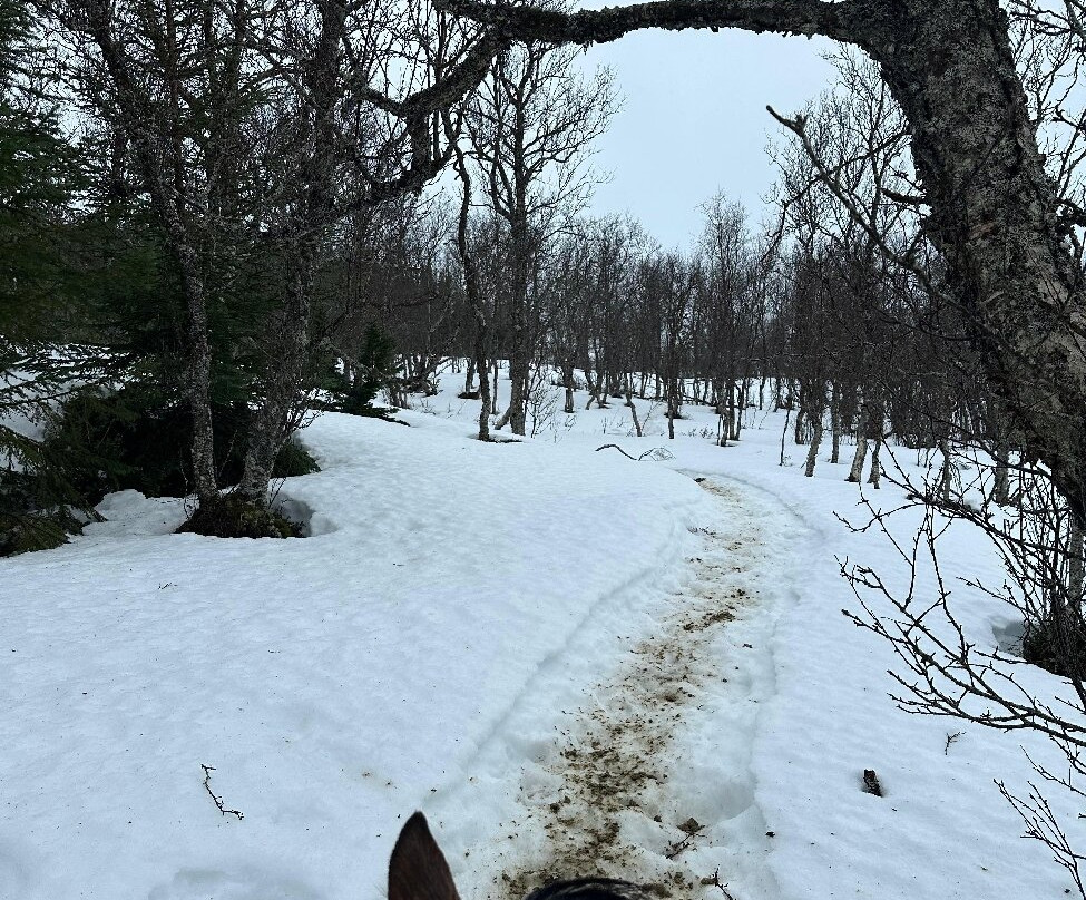 Tromsø Turhest As-Kvaloya必去景点