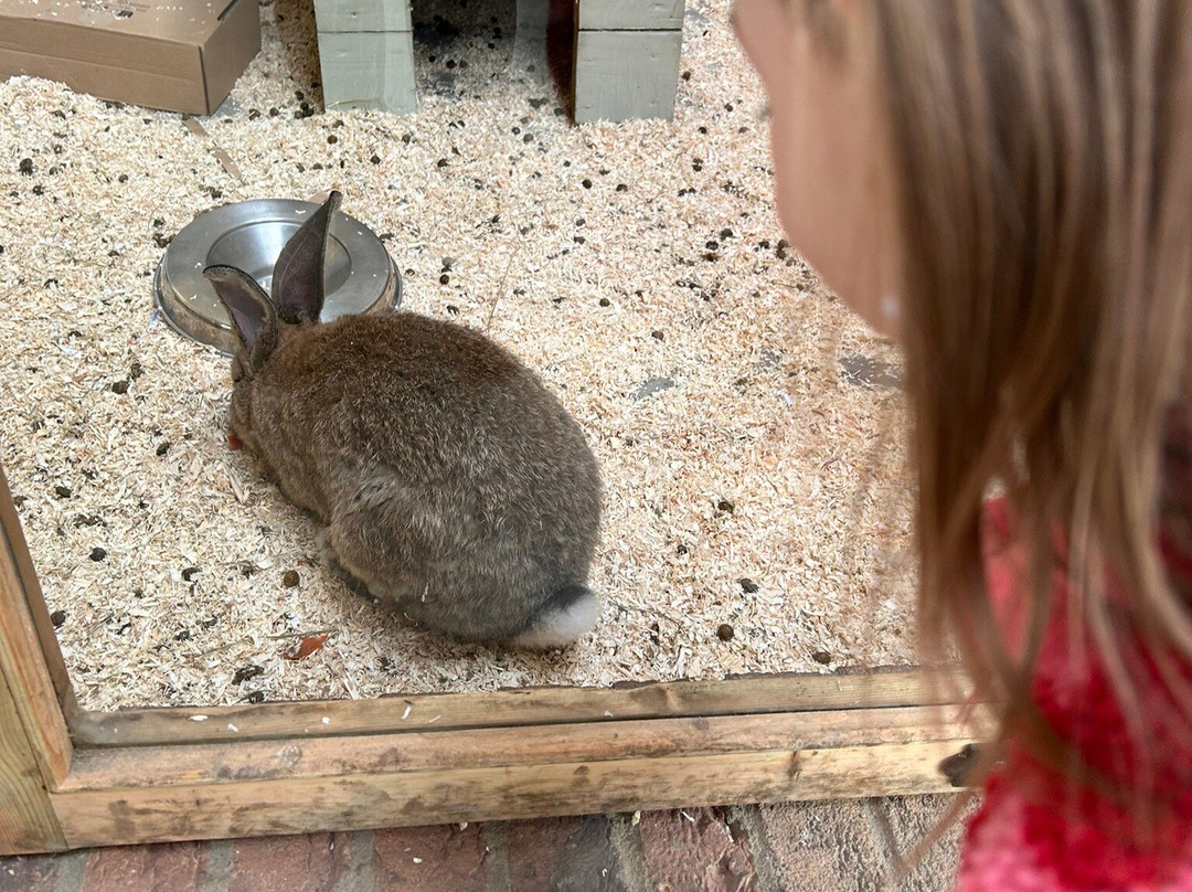 Monk Park Farm-Bagby必去景点