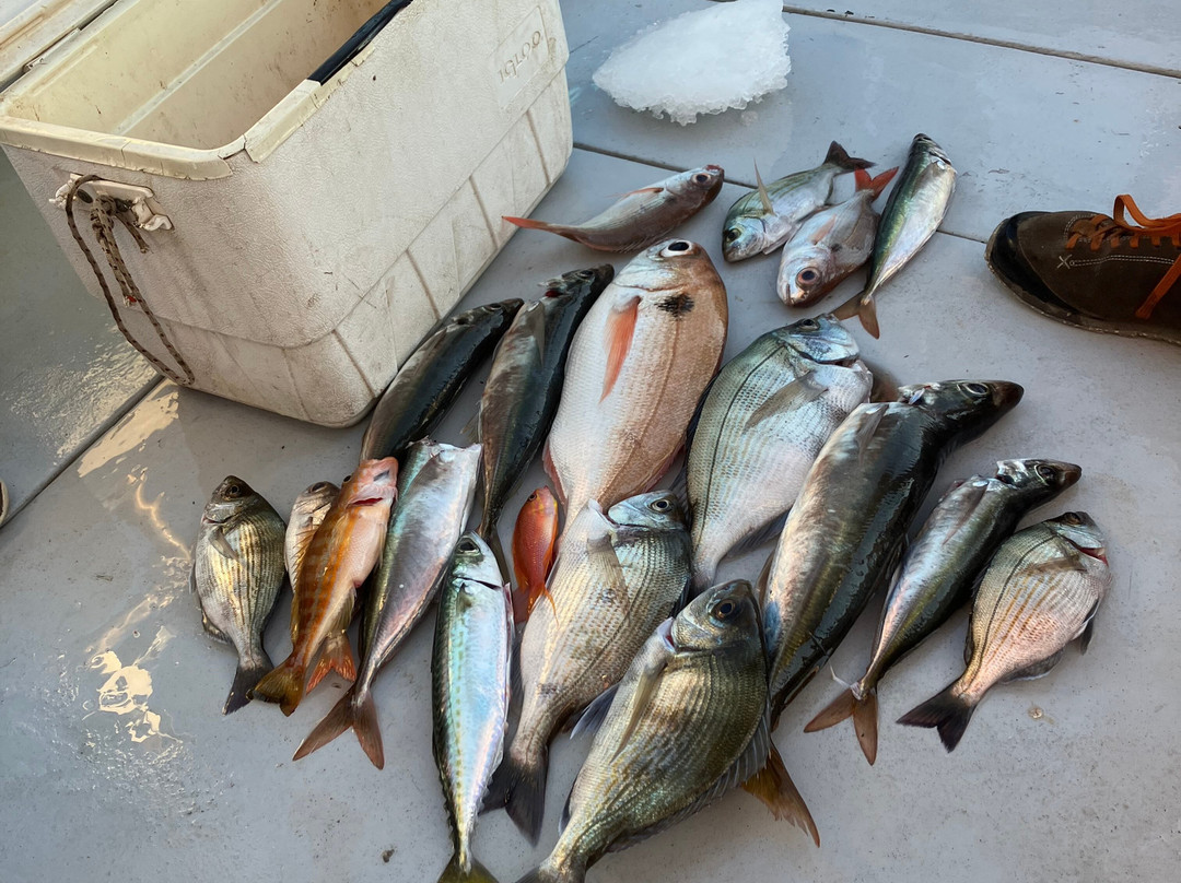 Amalfi coast fishing tour-普莱亚诺必去景点