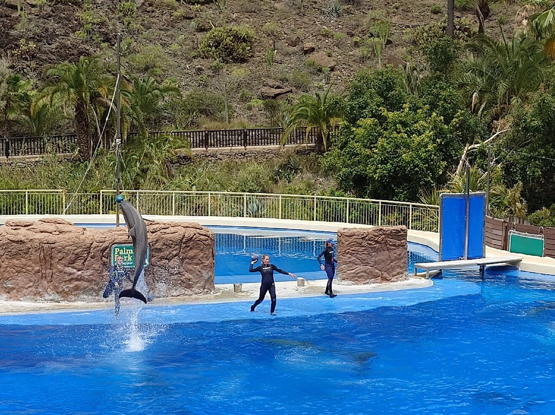 帕尔米图斯动植物园-马斯帕洛马斯必去景点