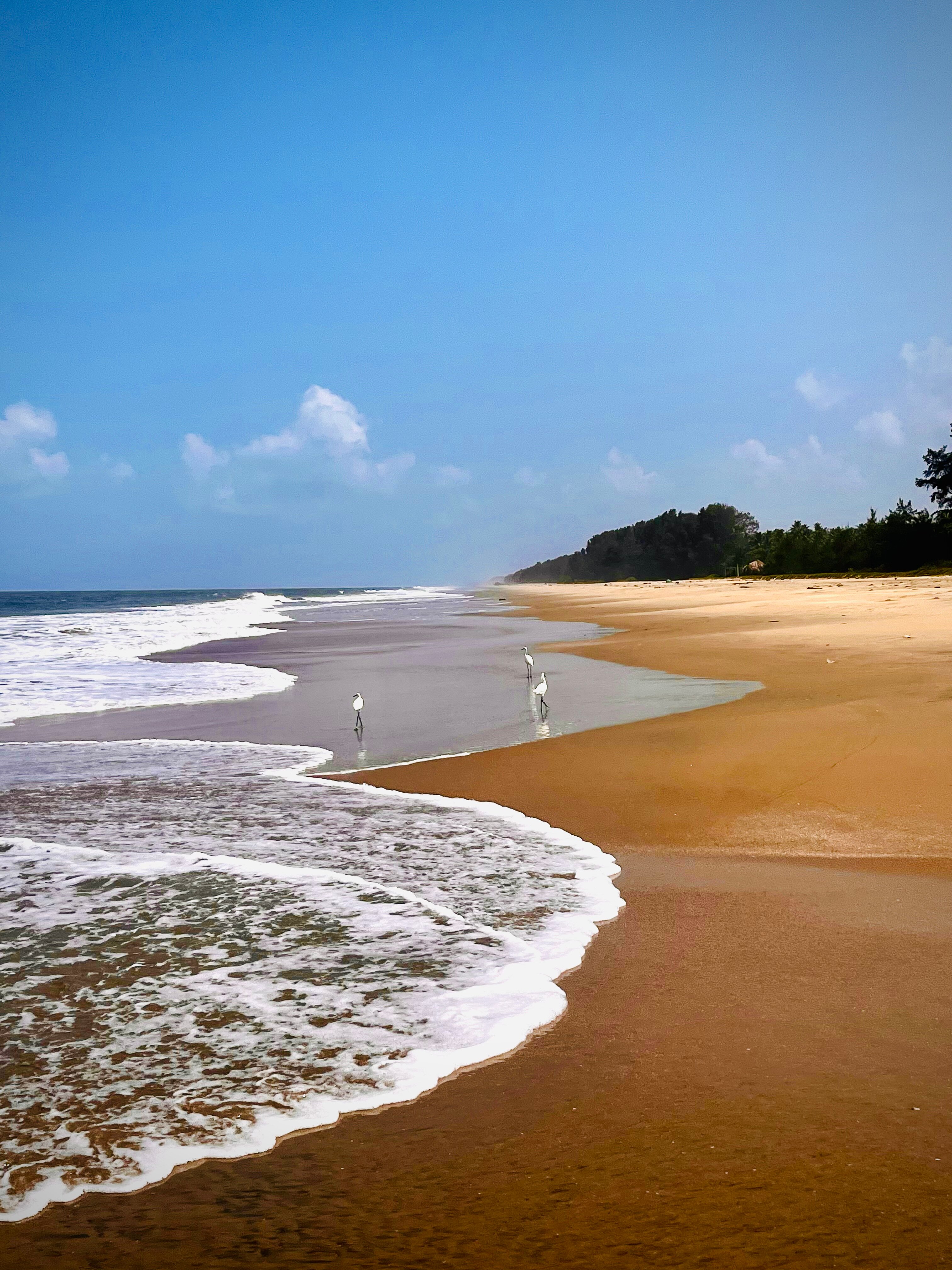 阿育吠陀生活乡村旅馆-旅行者