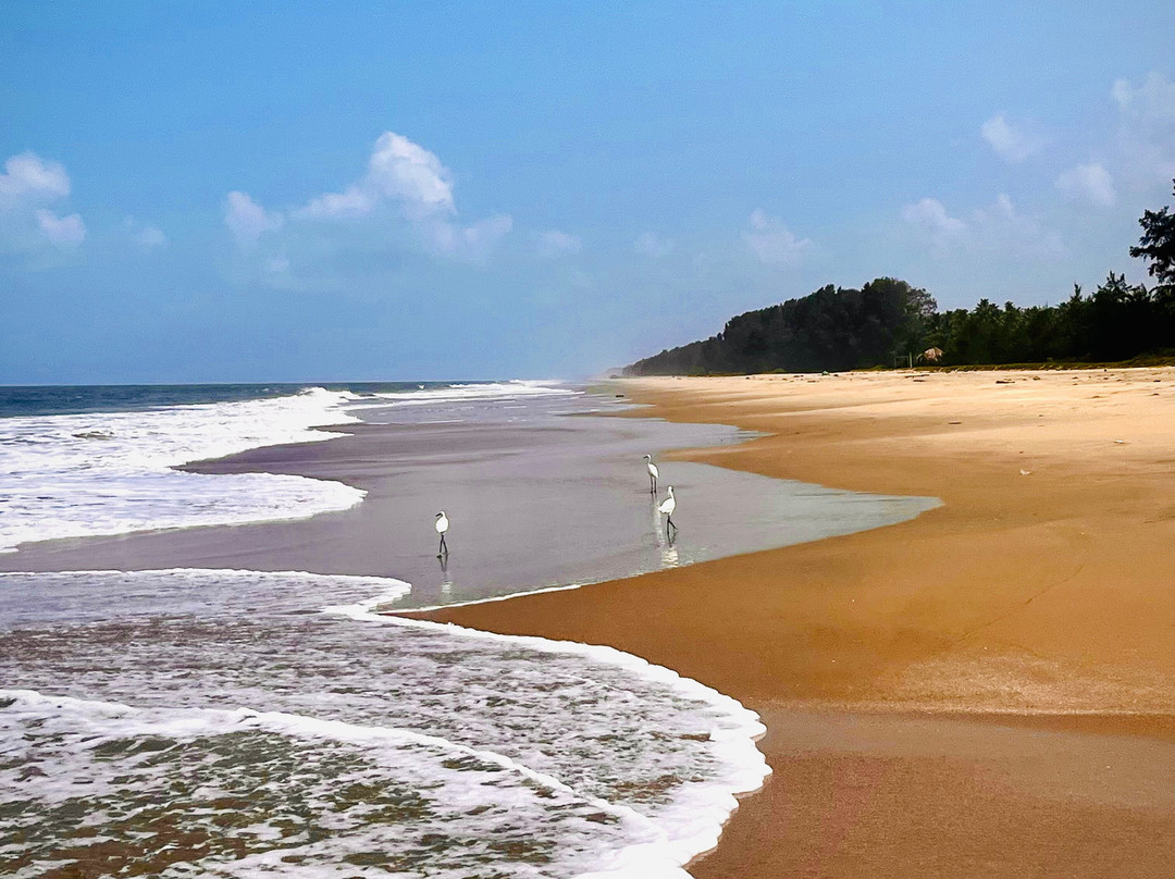 阿育吠陀生活乡村旅馆主图