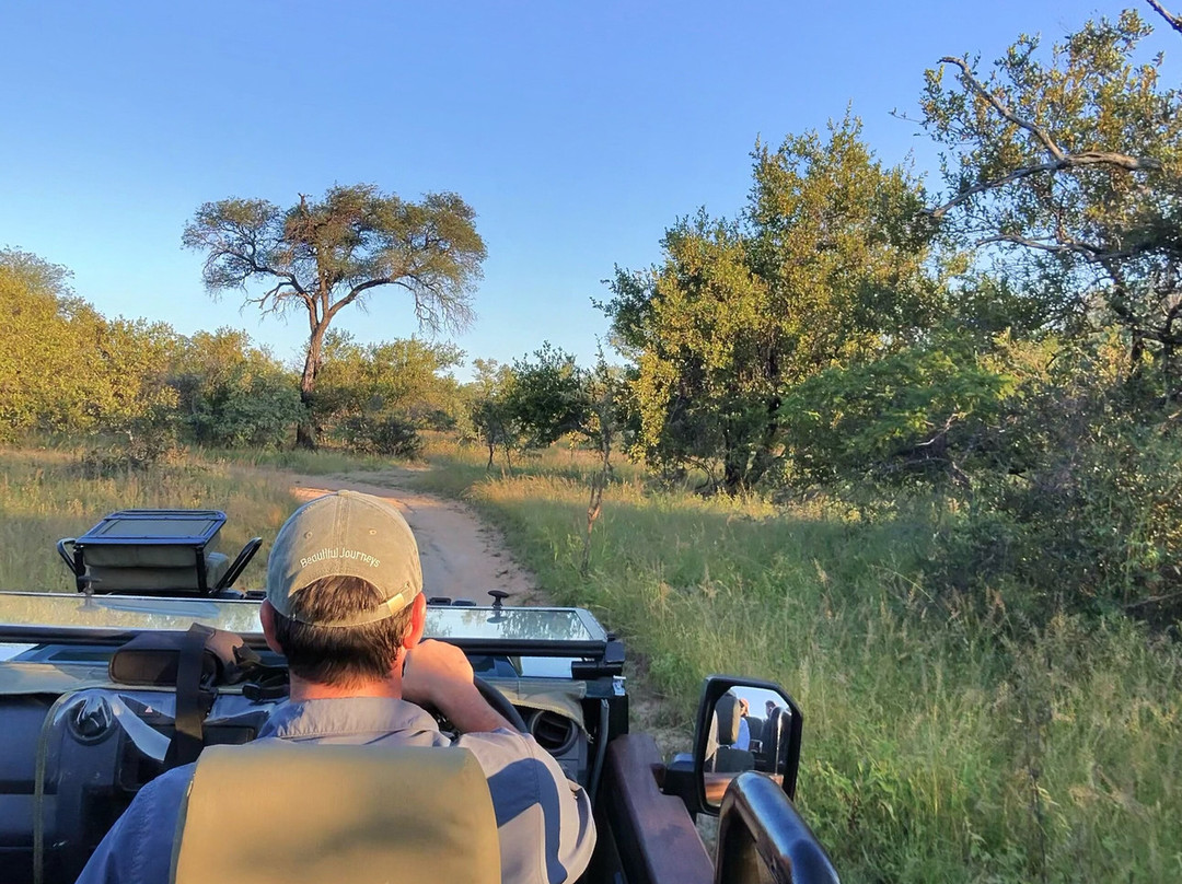 由7 Star Lodges经营的Oase - 大克鲁格私人530ha保护区主图