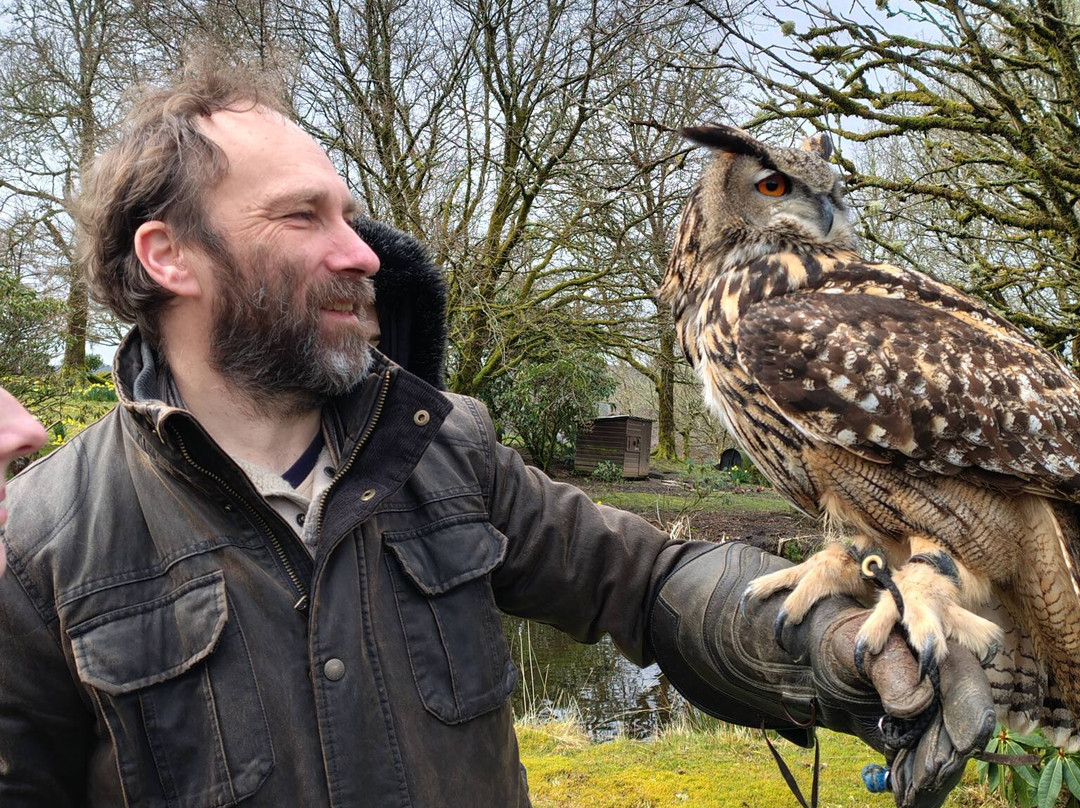 Kintail Birds of Prey Argyll-Dalmally必去景点