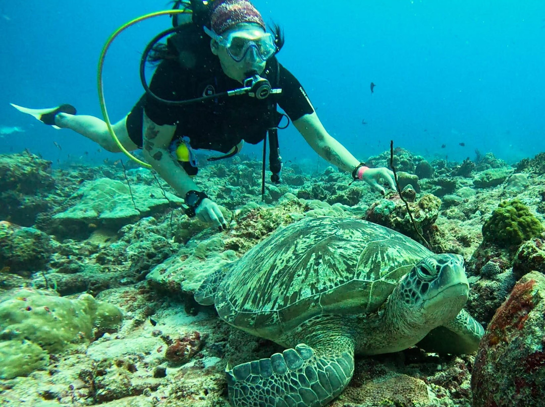 Sinai Dive Club Maldives-马富士岛必去景点