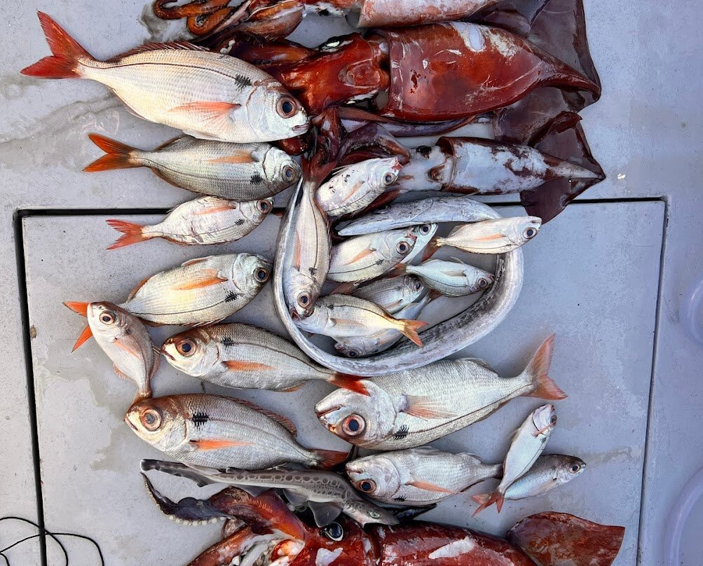 Amalfi coast fishing tour-普莱亚诺必去景点