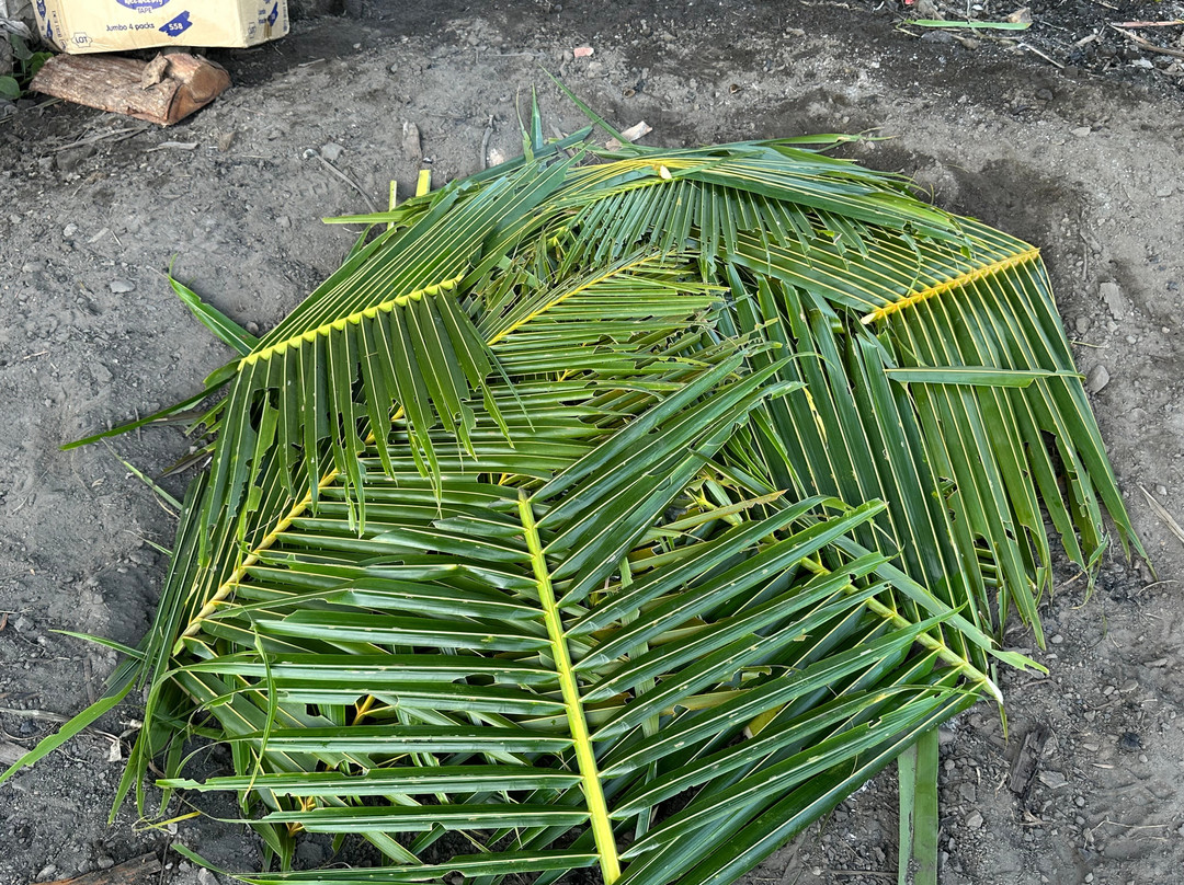 克鲁索疗养酒店主图