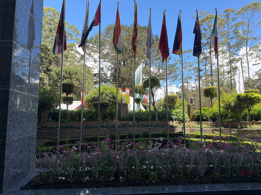 阿拉利亚绿城酒店主图