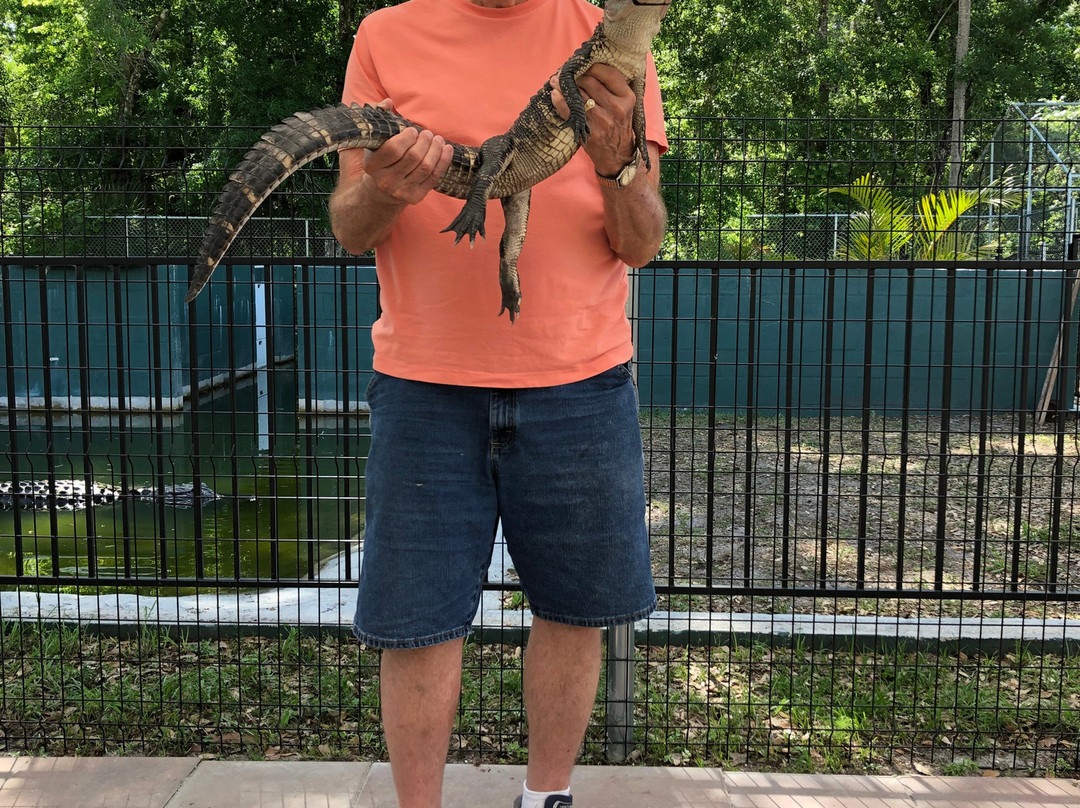Tarpon Springs Aquarium and Animal Sanctuary-塔彭斯普林斯必去景点