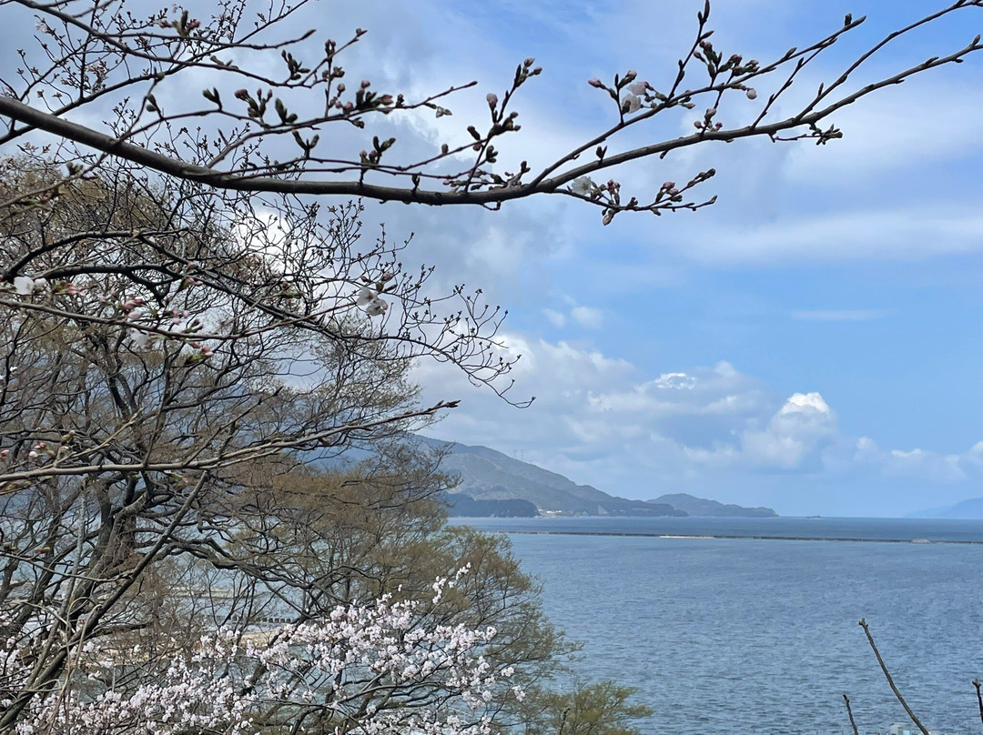 Kanegasakigu Shrine-敦贺市必去景点