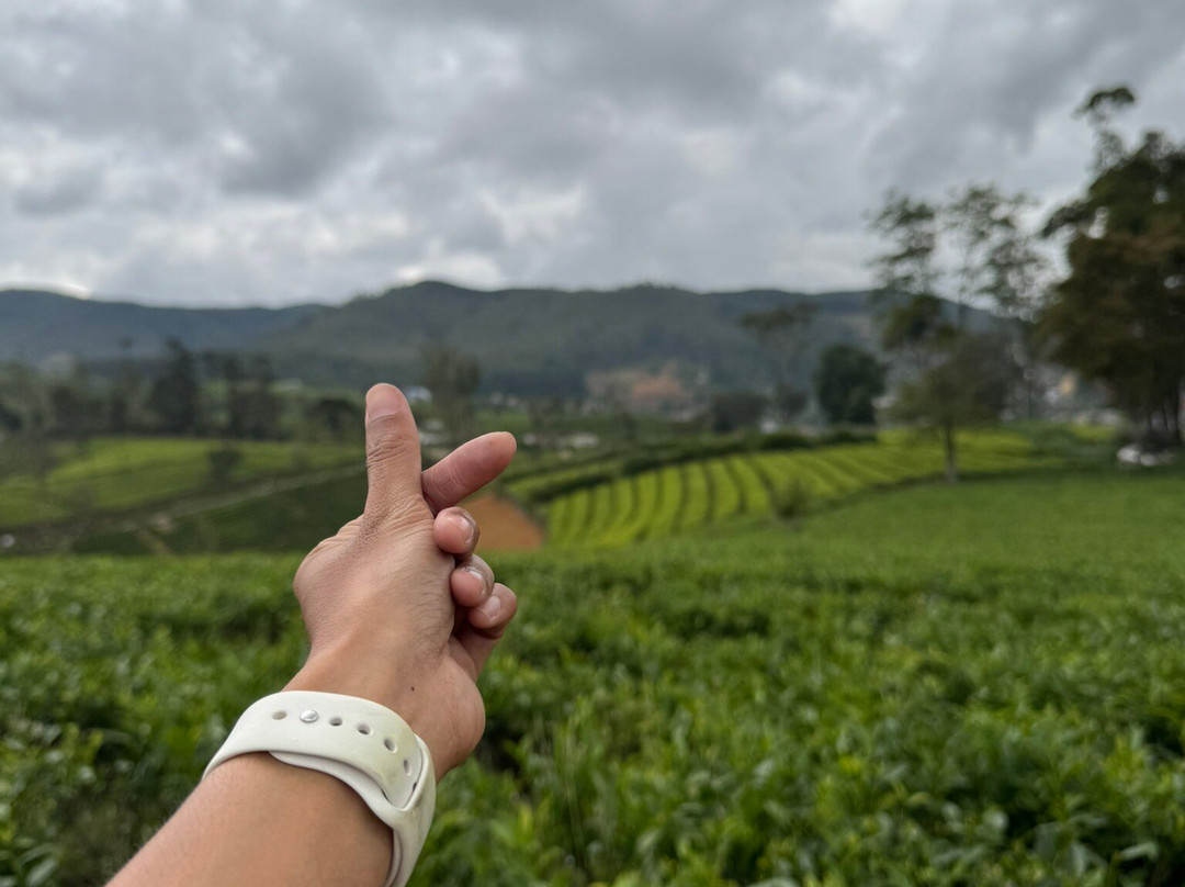 Compass Lanka Tours-Yakkala必去景点